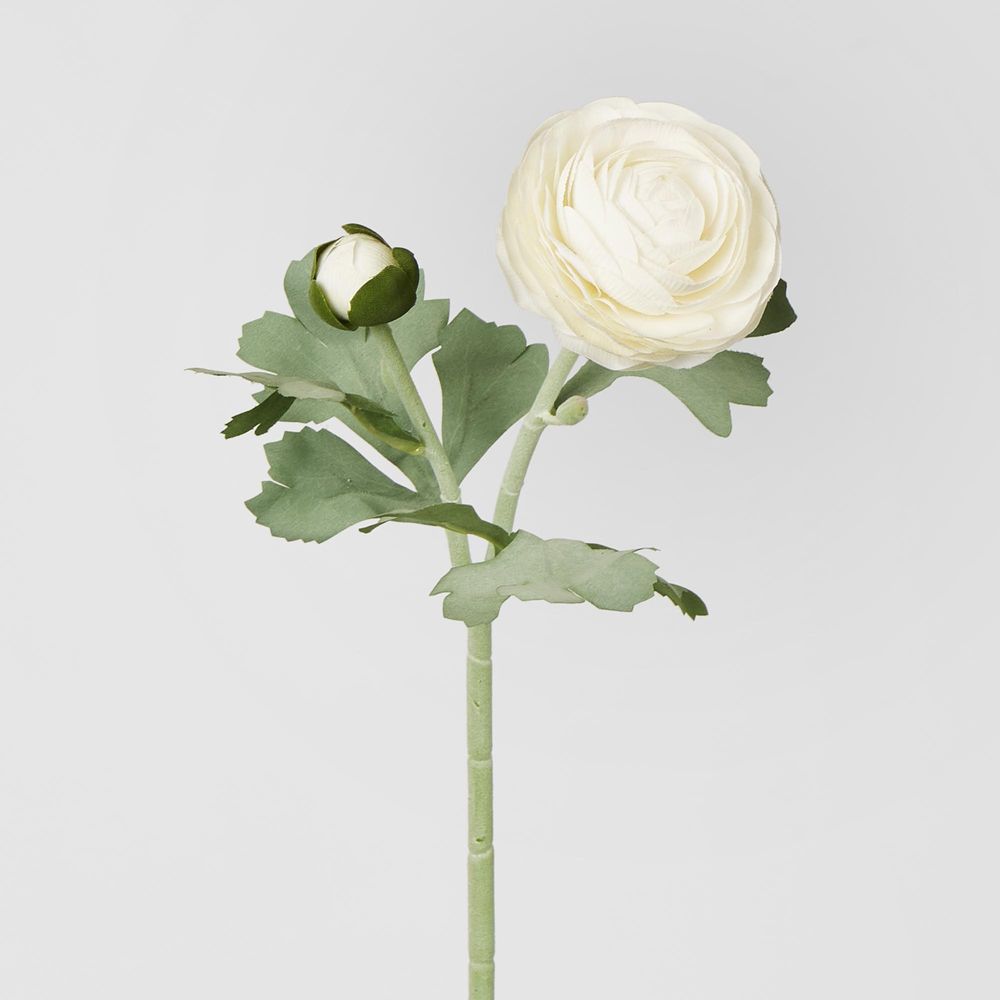 Clara Pure White Ranunculus Spray49Cm