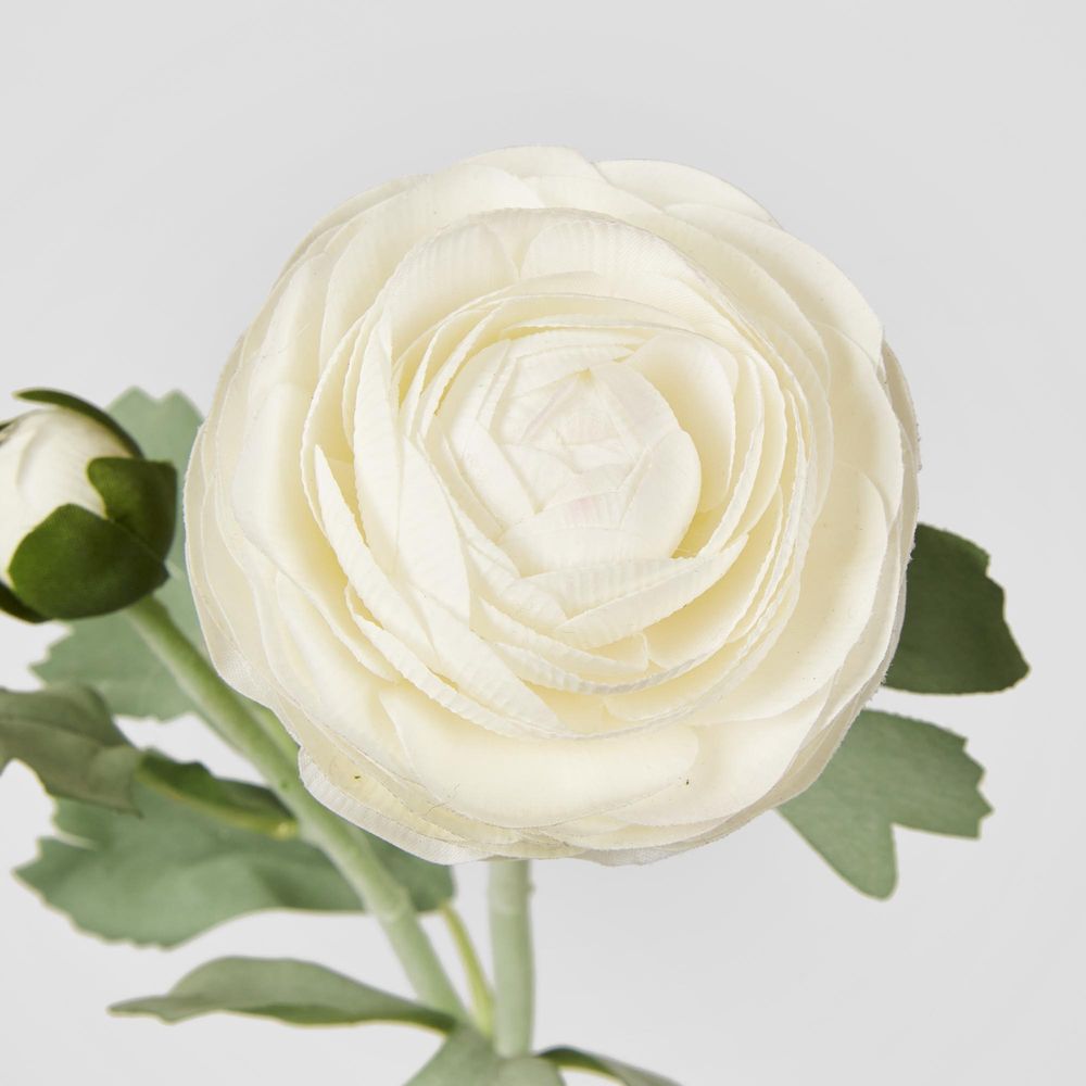 Clara Pure White Ranunculus Spray49Cm