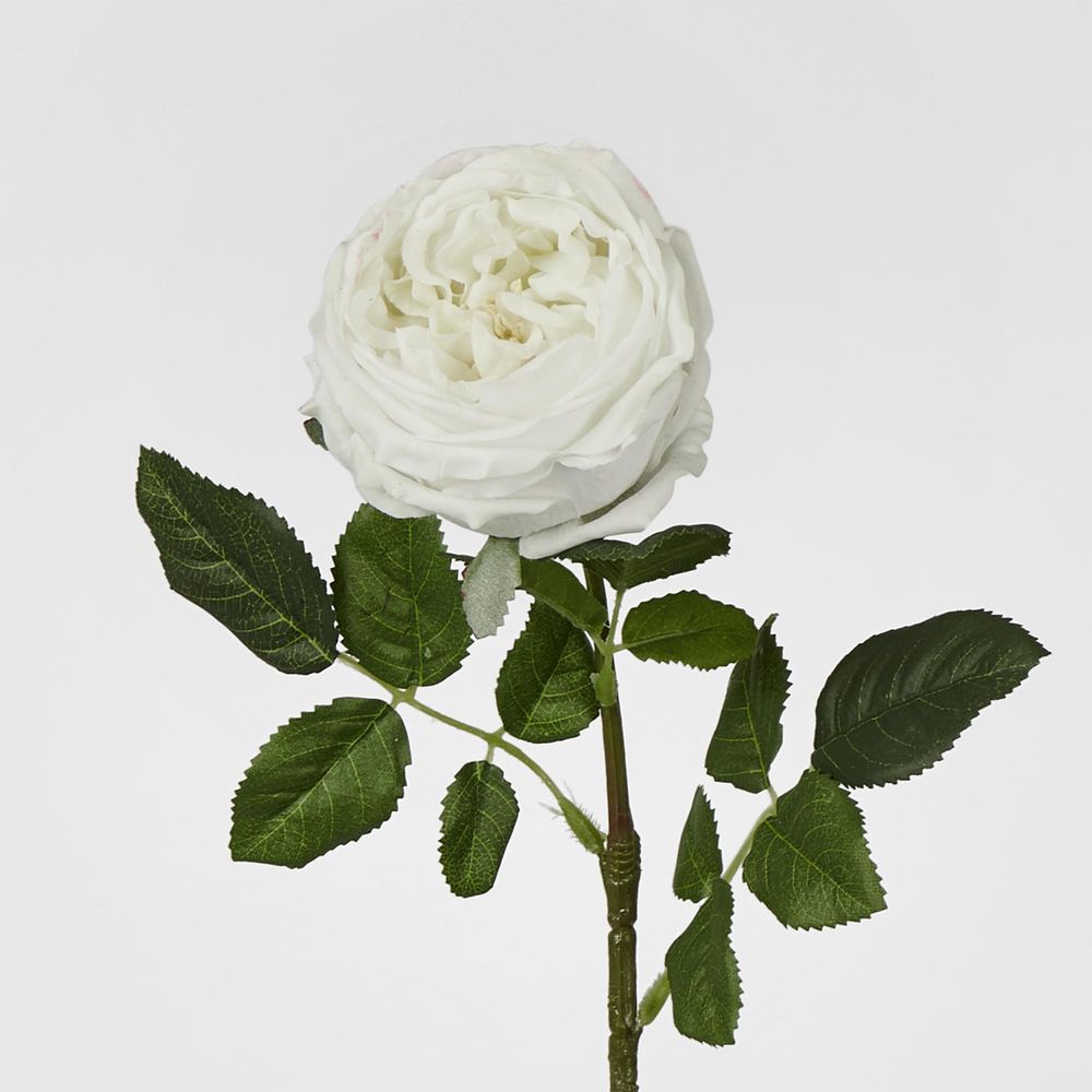 Dianna Real Touch Rose Stem White 60Cm