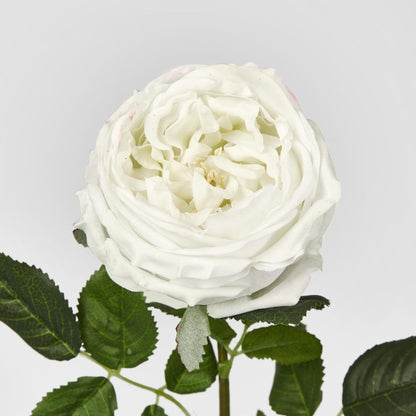 Dianna Real Touch Rose Stem White 60Cm