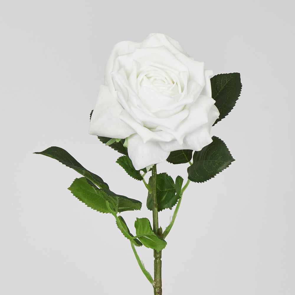 Walter Real Touch Rose Stem Winter White 61Cm