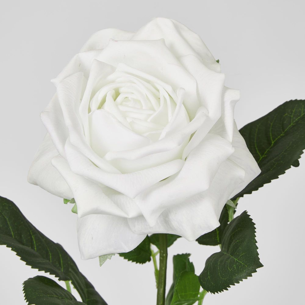 Walter Real Touch Rose Stem Winter White 61Cm