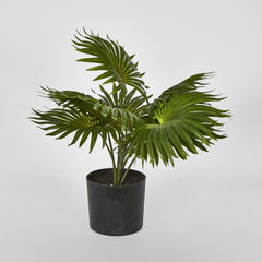 45Cm Real Touch Green Fountain Palm In Pot