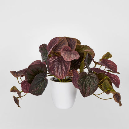 28Cm Burgundy Real Touch Hanging Peperomia Leaf Bush In White Pot