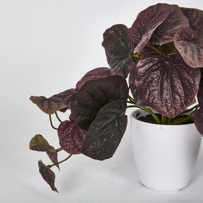 28Cm Burgundy Real Touch Hanging Peperomia Leaf Bush In White Pot