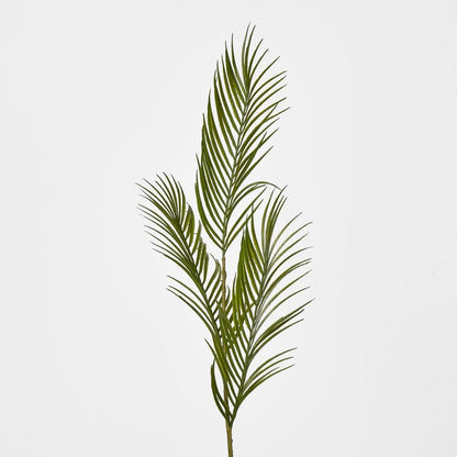 Green Arca Palm X 3