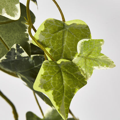 Green Ivy Spray With 140 Verigated Leaves