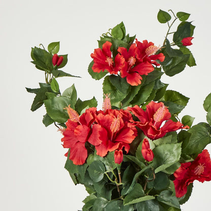 Red Hibiscus Hanging Bush With 10 Flowers