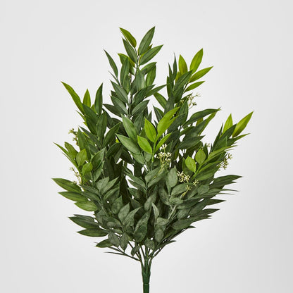 Green Ruscus Bush X9