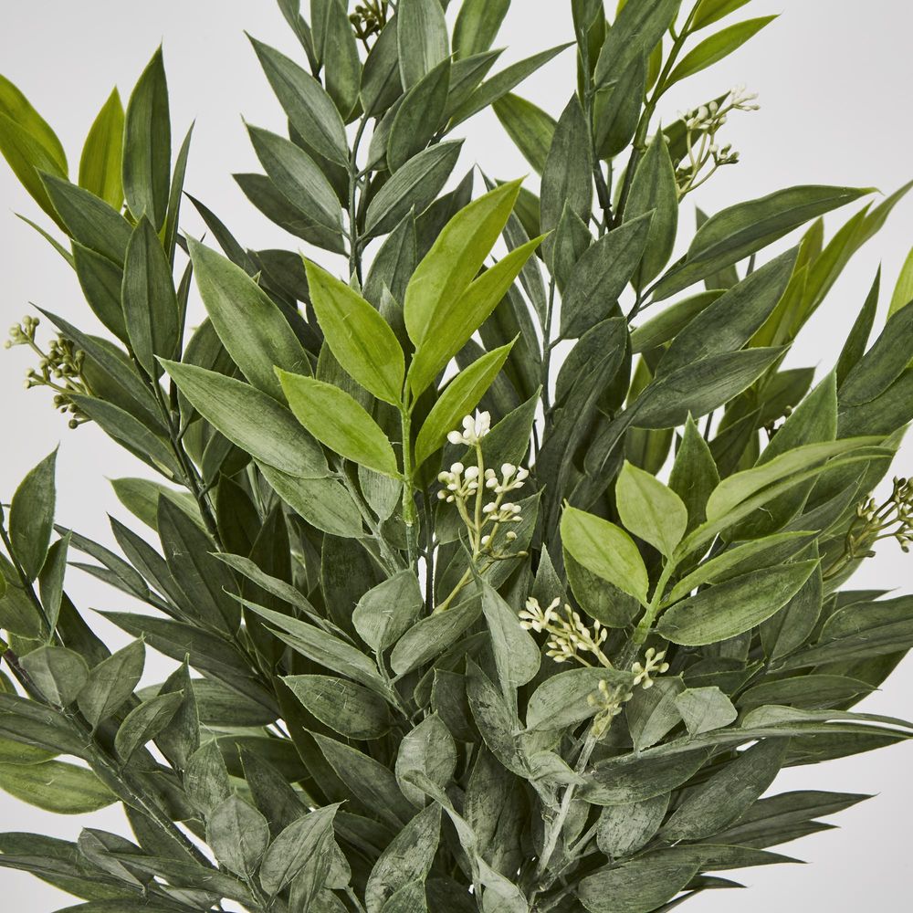 Green Ruscus Bush X9