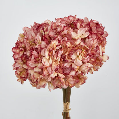 Dried Pink Hydrangea X 3 Bundle