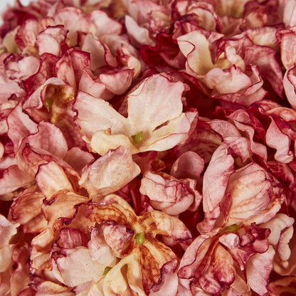 Dried Pink Hydrangea X 3 Bundle