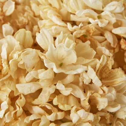 Dried Cream Hydrangea X 3 Bundle