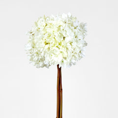 Dried White Hydrangea X 3 Bundle