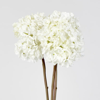 Dried White Hydrangea X 3 Bundle