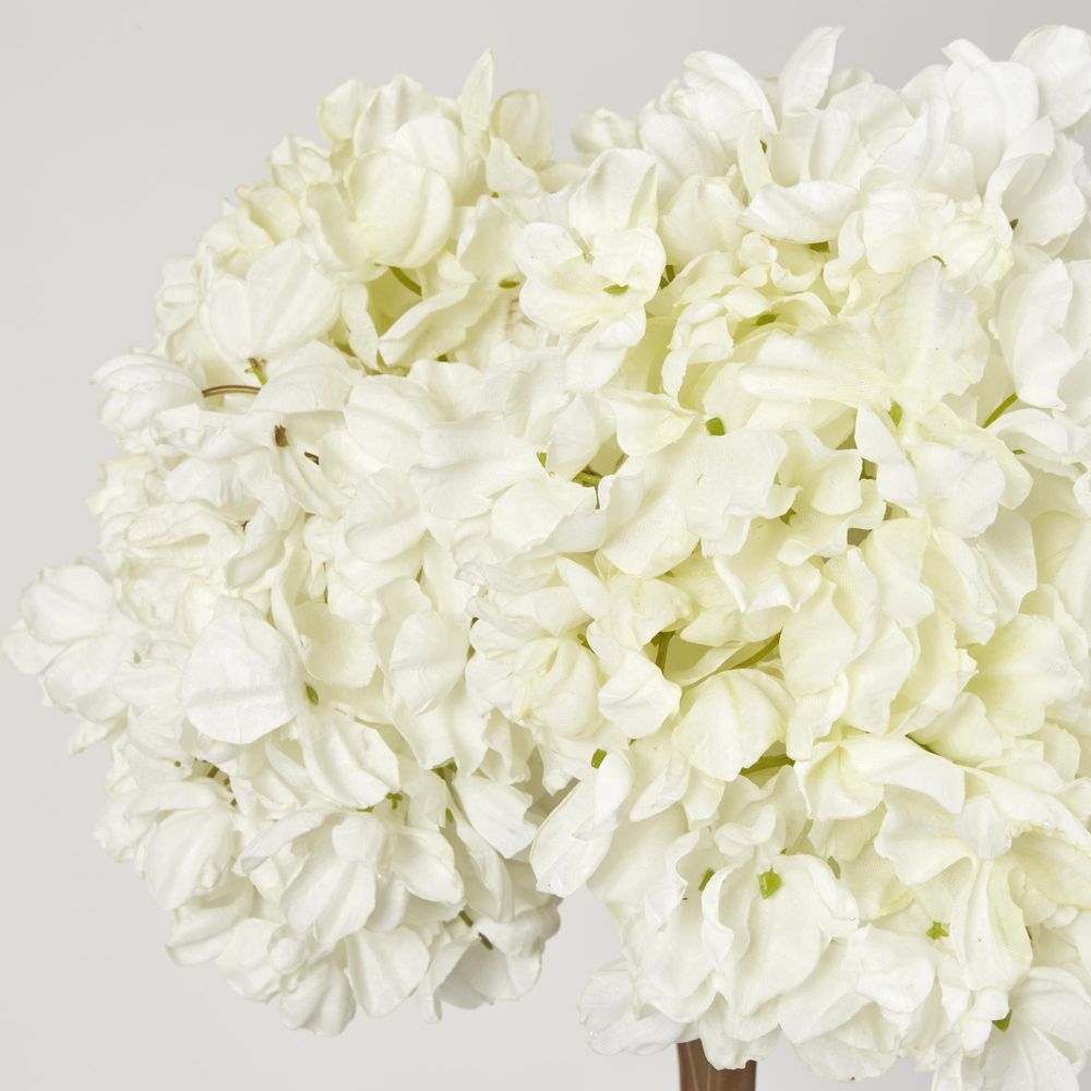 Dried White Hydrangea X 3 Bundle