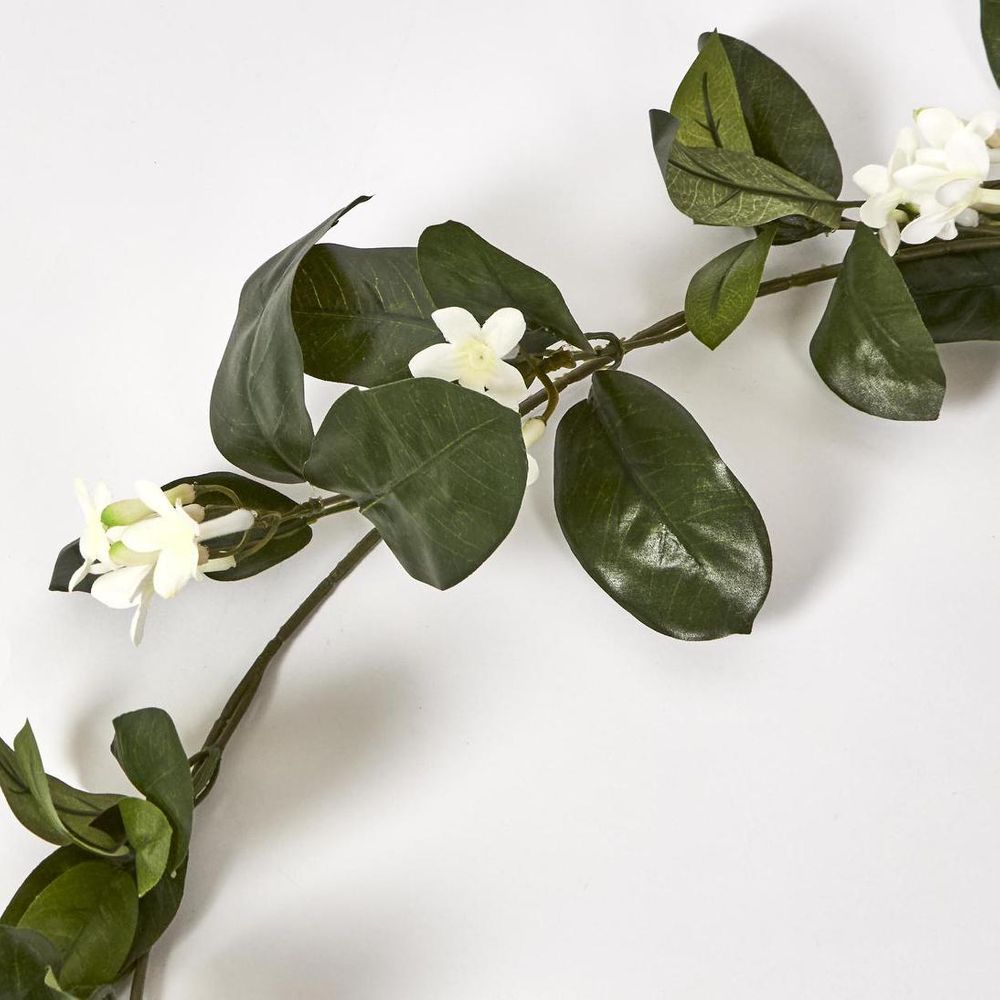 Stephanotis Garland 6Ft
