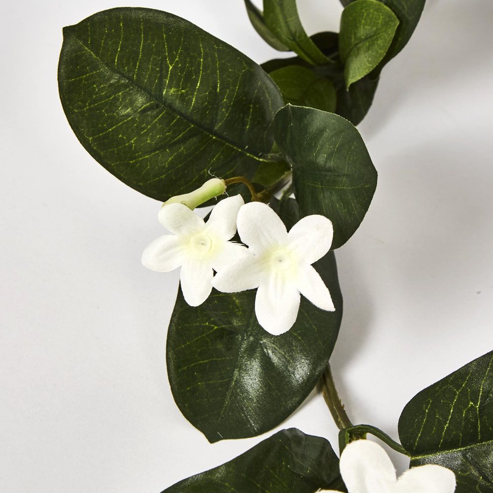 Stephanotis Garland 6Ft