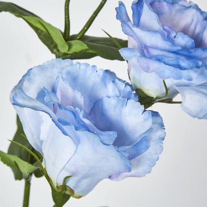 Lisianthus Spray