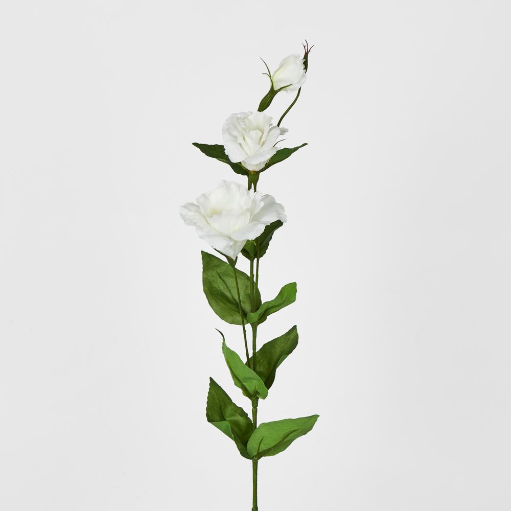 White Lisianthus Spray