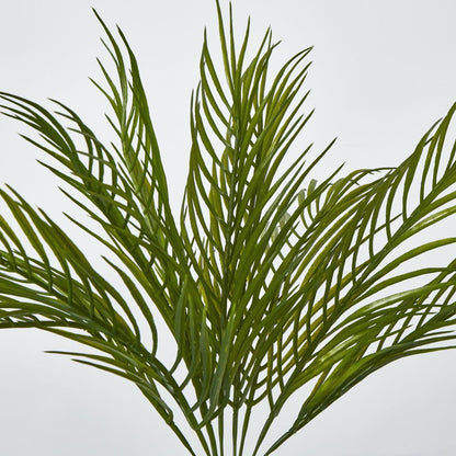 Green Fern Palm Bush