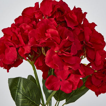 Red Hydrangea Bush X 5