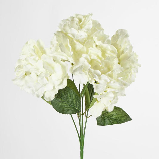 白色绣球花丛 X 5
