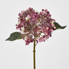 Short Stem Purple Hydrangea