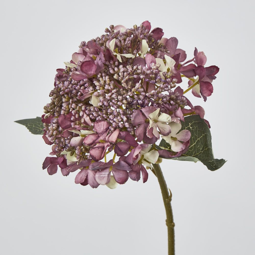 Short Stem Purple Hydrangea