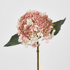 Light Dusty Pink Short Stem Hydrangea