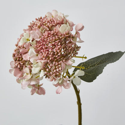 Light Dusty Pink Short Stem Hydrangea