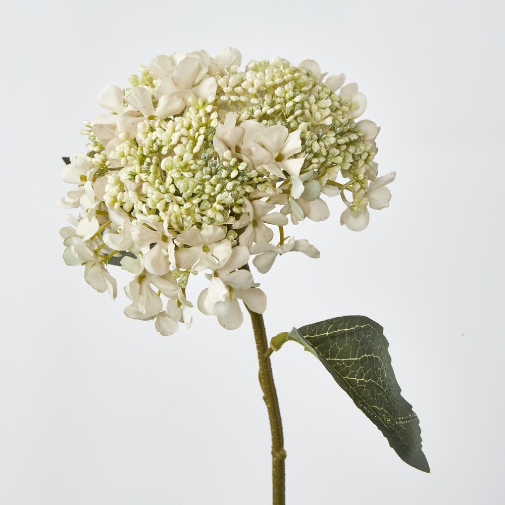 White Short Stem Hydrangea