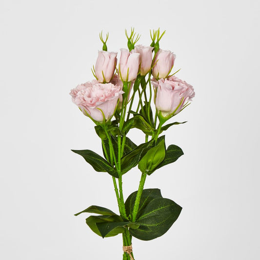 Light Pink Lisianthus Bundle By 5 Flower And Bud