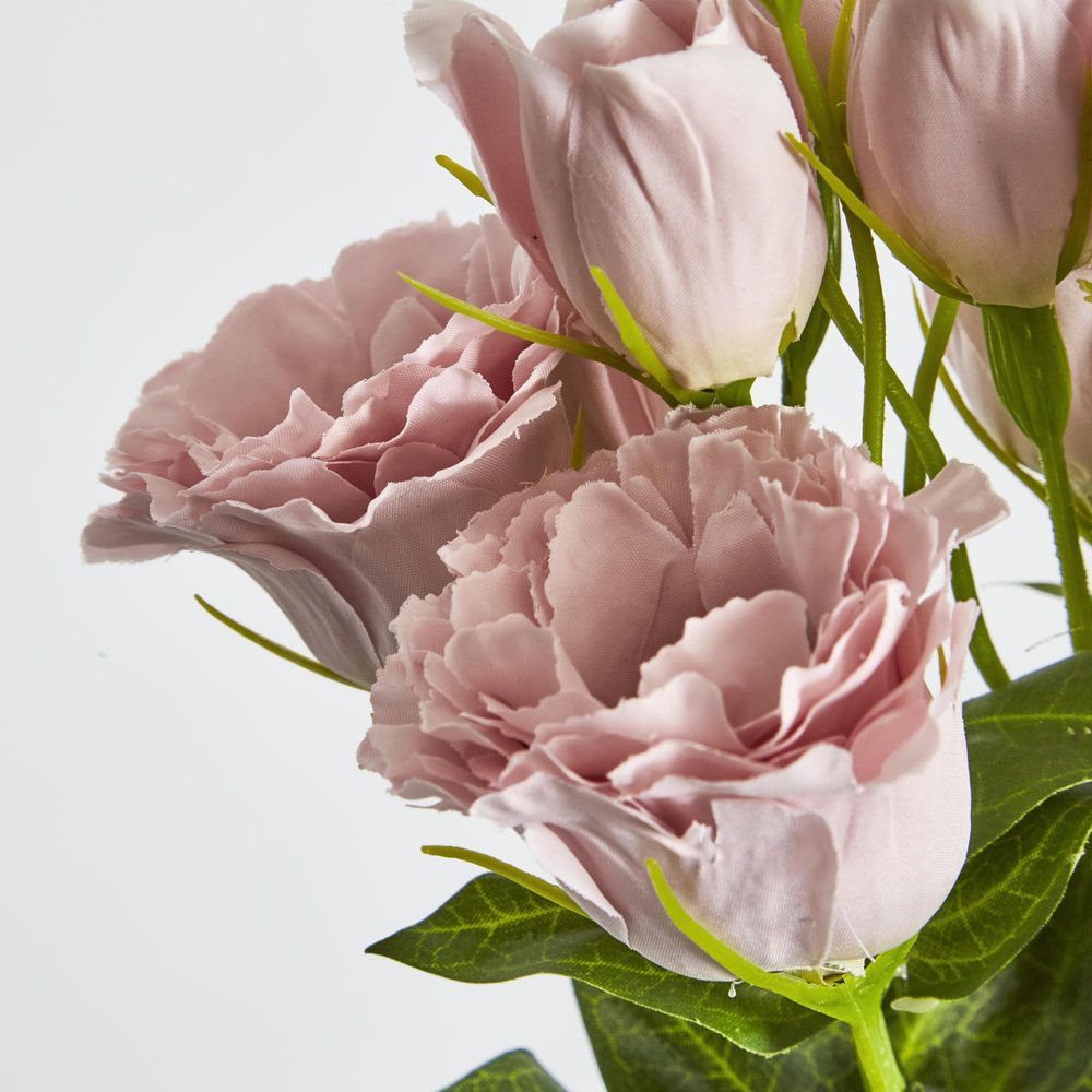 Light Pink Lisianthus Bundle By 5 Flower And Bud