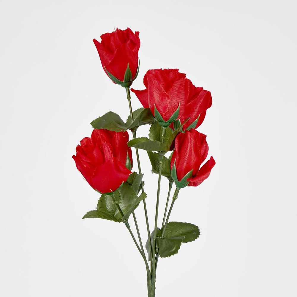 玫瑰花蕾丛仅以盒装形式出售