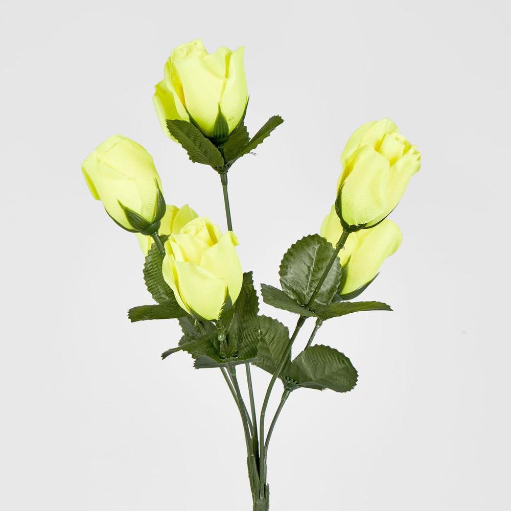 玫瑰花蕾丛仅以盒装形式出售
