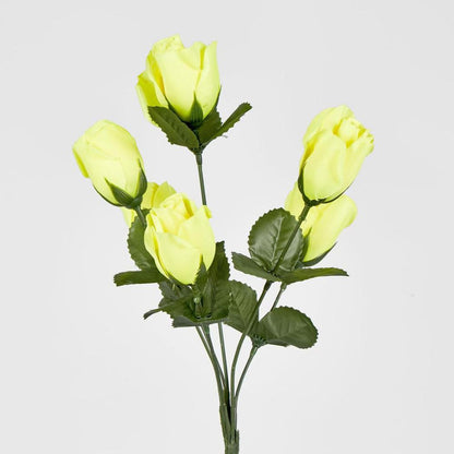 玫瑰花蕾丛仅以盒装形式出售