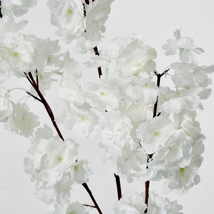 White Blossom (Increments Of 2)