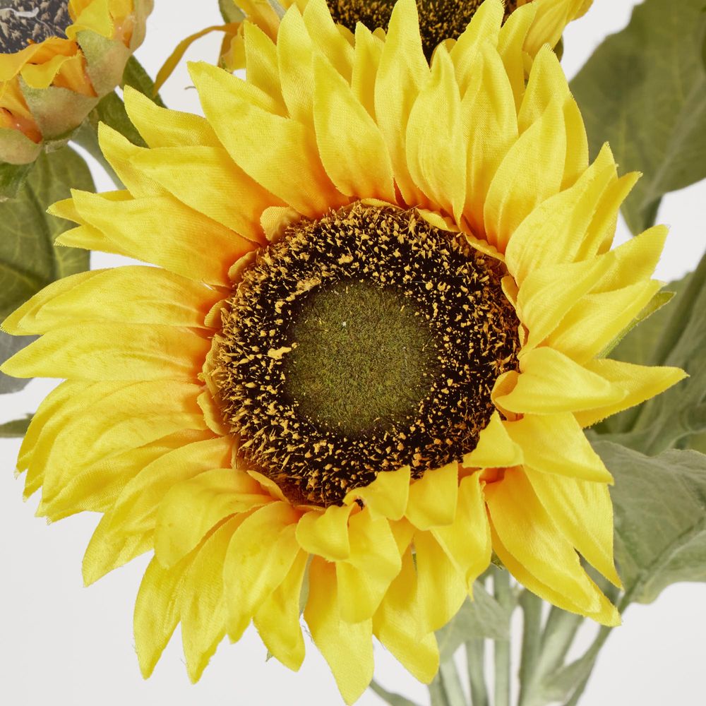 Yellow Sunflower Bush With 5 Flowers