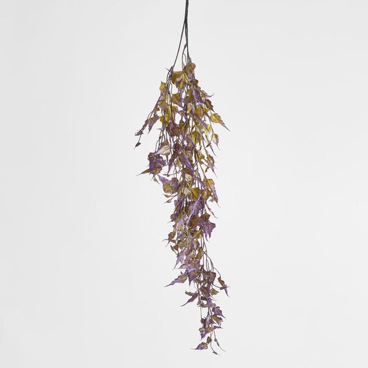 Hanging Greenery