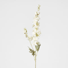 White Delphinium