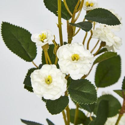 White Pom Pom Rose Spray