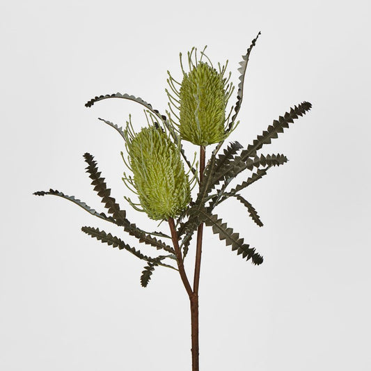 Green Banksia Spray X 2