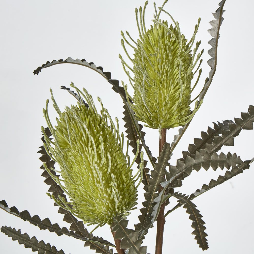 Green Banksia Spray X 2