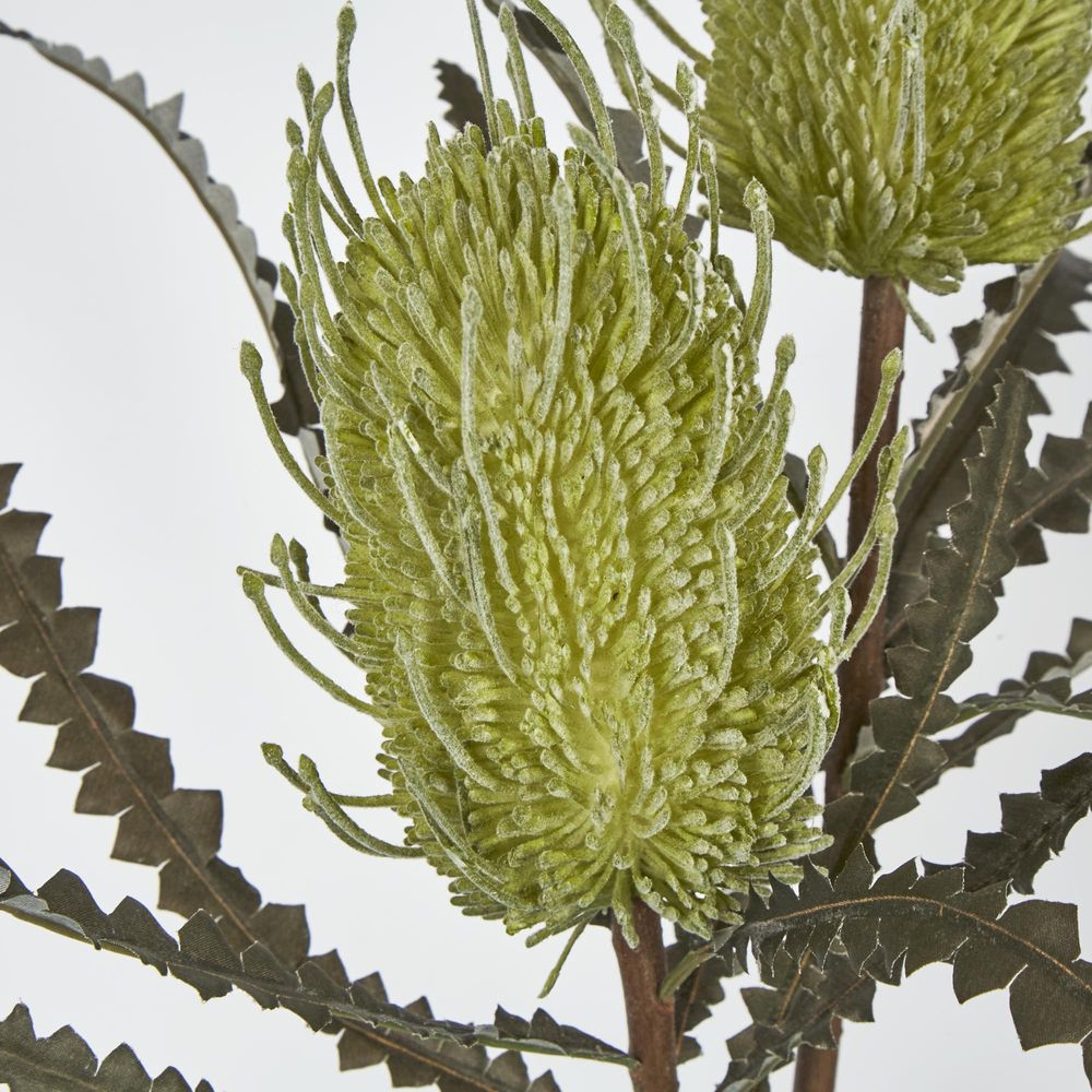 Green Banksia Spray X 2