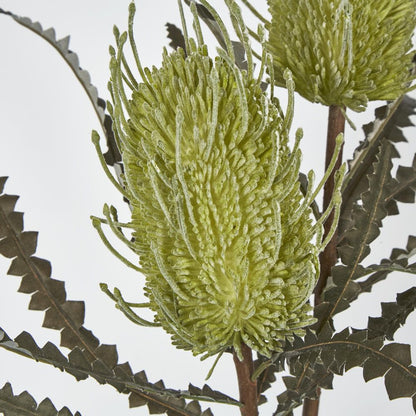 Green Banksia Spray X 2