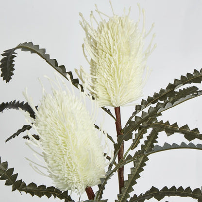 White Cream Banksia Spray