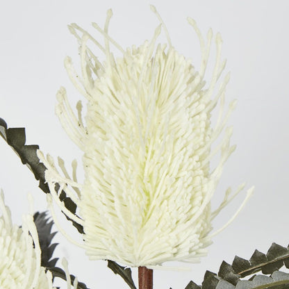 White Cream Banksia Spray