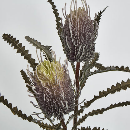 Dark Purple Banksia Spray