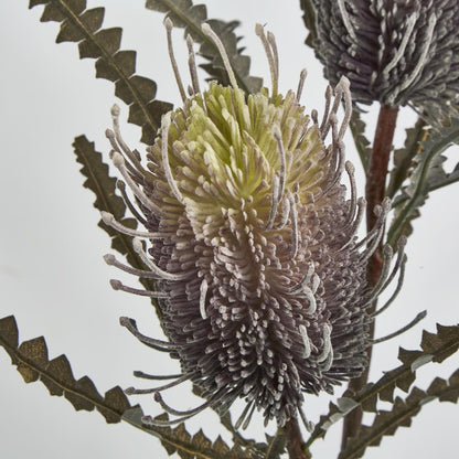 Dark Purple Banksia Spray